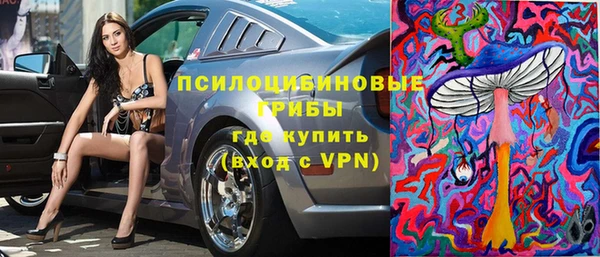 ПСИЛОЦИБИНОВЫЕ ГРИБЫ Волоколамск