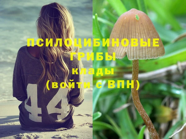 прущий лед Володарск
