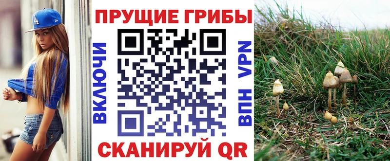 Купить Джанкой Псилоцибиновые грибы ЛСД